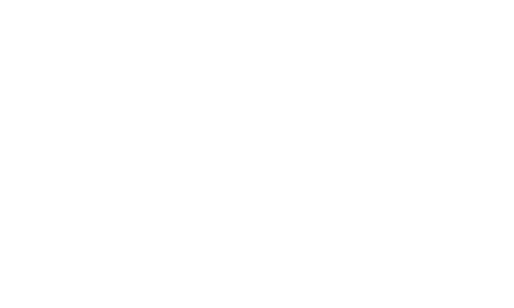 White google logo