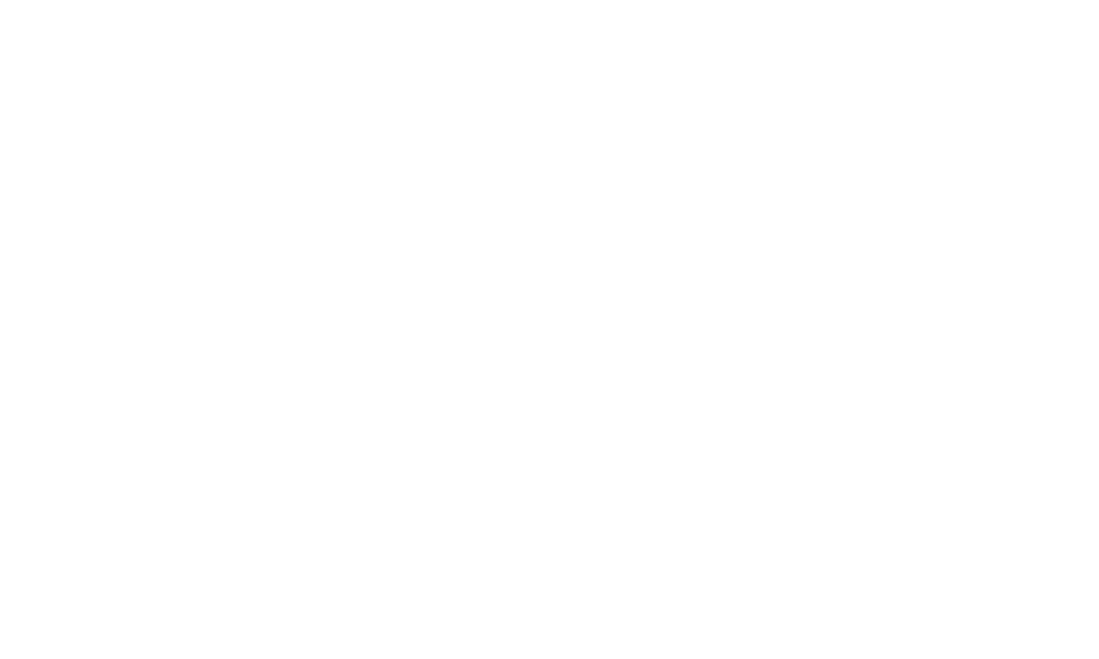 White PingIdentity logo